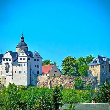 فندق Meister Baer Frankenwald 4*