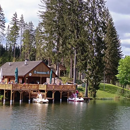 Hotel Meister Bär Frankenwald 4*