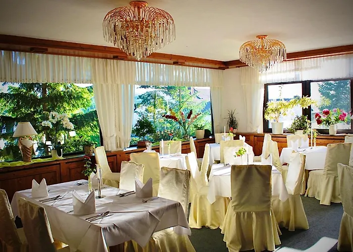 Hotel Meister Baer Frankenwald 4*